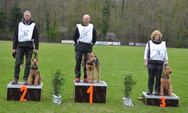 KfT Bundesausscheid IGP am 13. und 14. April 2019 in Bad Salzuflen