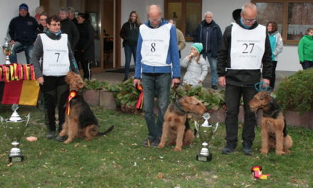 Klub-Fährtenhund-Siegerprüfung und Bundesausscheid IPO/FH in Schönebeck am 27./28. Oktober 2018
