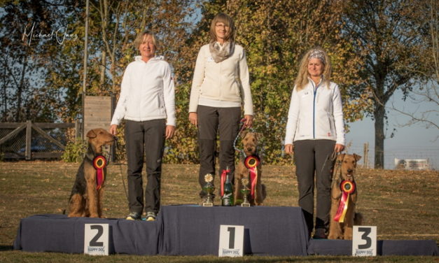 KfT-Obedience-Klubsiegerprüfung am 20./21. Oktober 2018 in Ellwangen