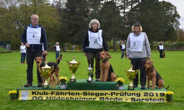 Klub-Fährtenhund-Siegerprüfung und Bundesausscheid IGP/FH am 26./27.10.2019 in Sarstedt