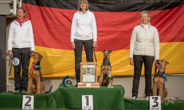 Klub-Siegerprüfung Obedience am 20.10.2019 in Ellwangen