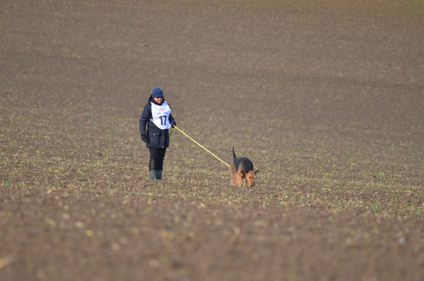 VDH Deutsche Meisterschaft vom 15.-17.11.2019 in Westrup Stemwede