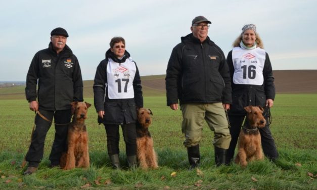 VDH Deutsche Meisterschaft vom 15.-17.11.2019 in Westrup Stemwede