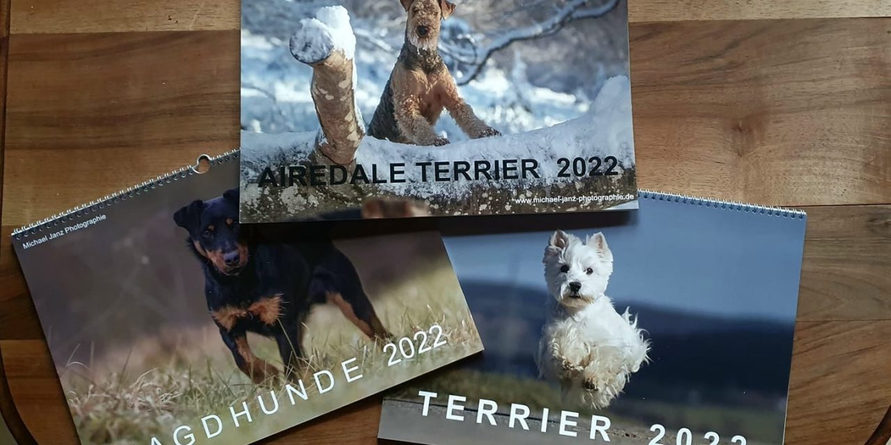Airedale Kalender 2022
