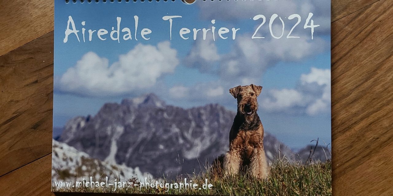 Airedale Kalender 2024