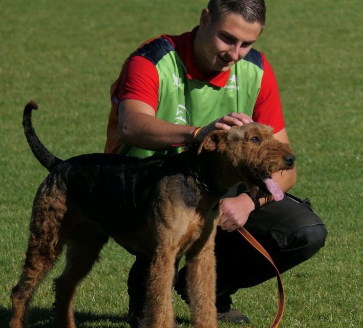 Sportler des Jahres – zur Wahl steht ein Airedale Hundeführer!