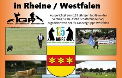 VDH Deutsche Meisterschaft IGP vom 2.-4.8.2024