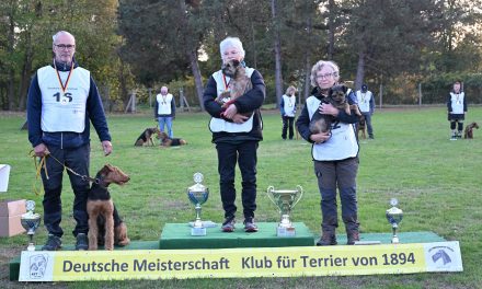 Fotos und Bericht KfT DM Fährte am 18./19.10.2025