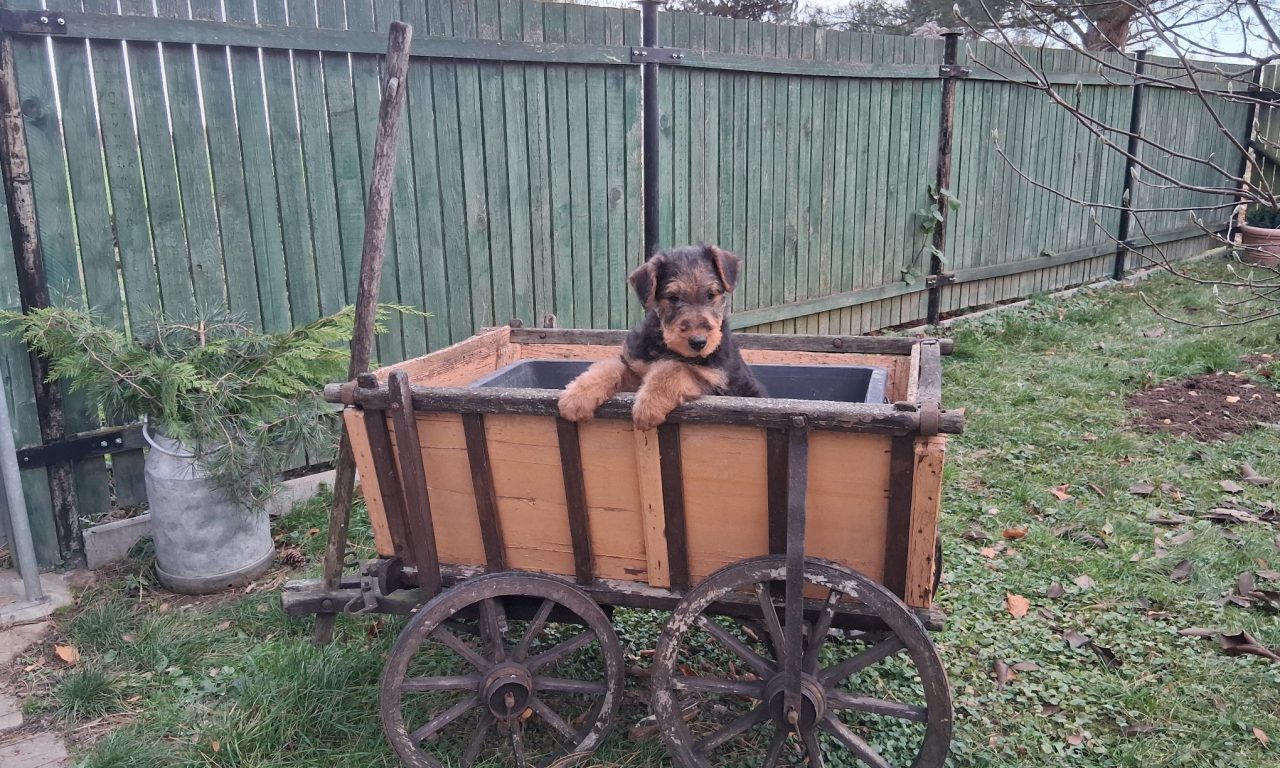 von der Heinrichsburg