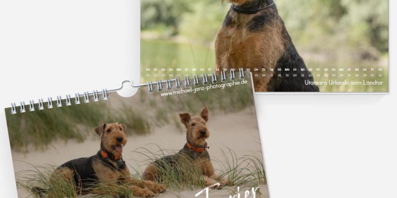Airedale Kalender 2026