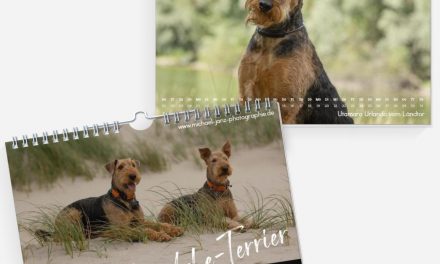 Airedale Kalender 2026