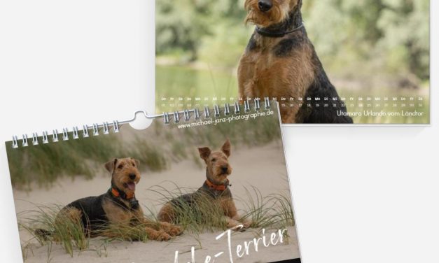 Airedale Kalender 2026