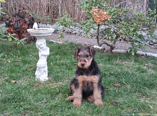 von der Heinrichsburg