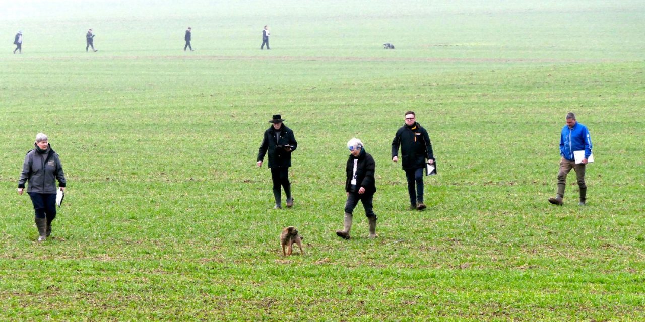 Bericht, Fotos VDH DM FH 2025