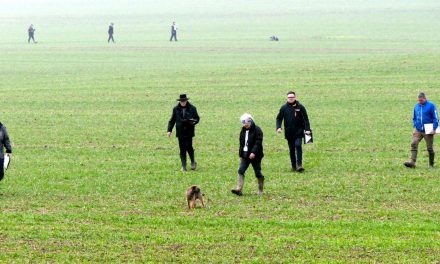 Bericht, Fotos VDH DM FH 2025