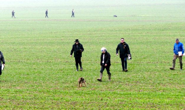 Bericht, Fotos VDH DM FH 2025