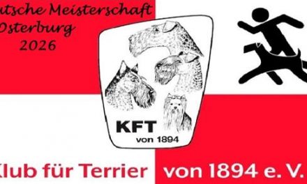 Infos DM IGP 3./4. Oktober 2026 – Osterburg