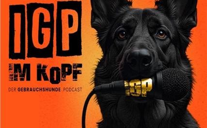 Airedale im Podcast: „IGP im Kopf“