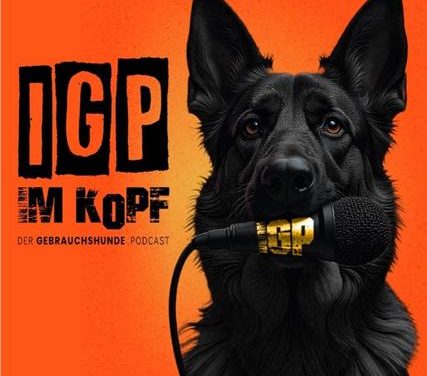 Airedale im Podcast – jetzt Online