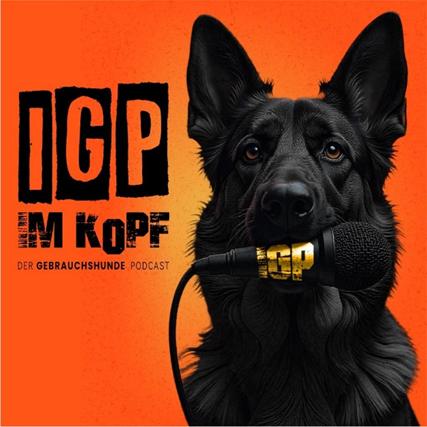 Airedale im Podcast: „IGP im Kopf“