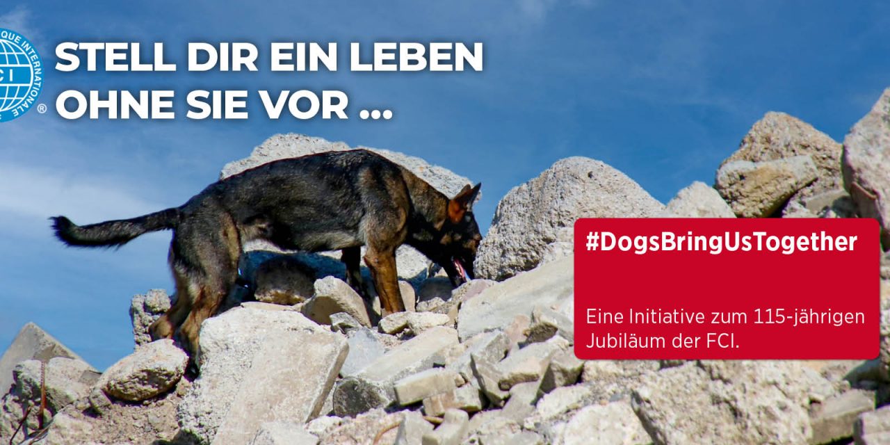 Kampagne „Stell dir ein Leben ohne sie vor“