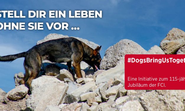 Kampagne „Stell dir ein Leben ohne sie vor“