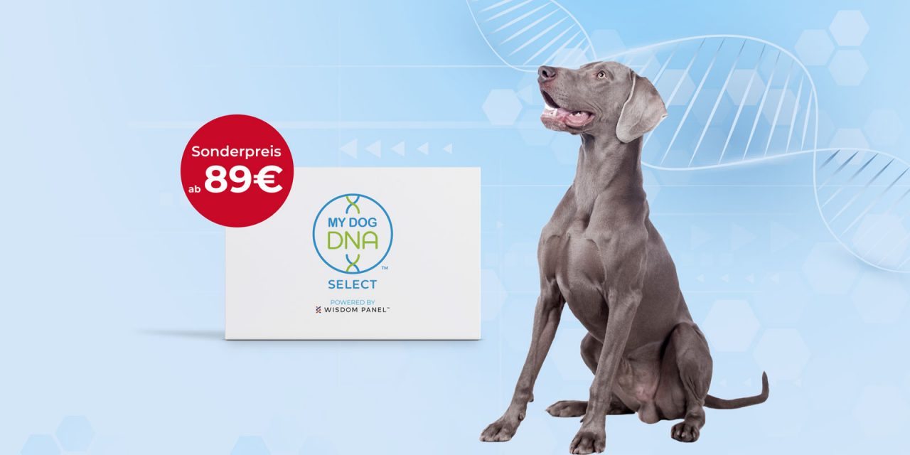 Der VDH informiert … DaMyDogDNA-Gentest