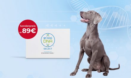 Der VDH informiert … DaMyDogDNA-Gentest