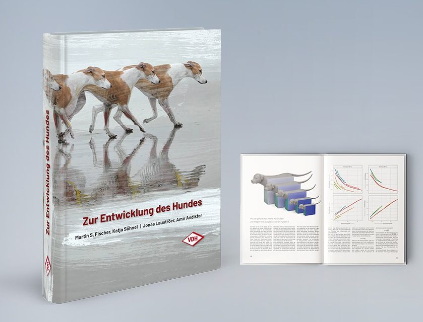 Buchvorstellung „Zur Entwicklung des Hundes“